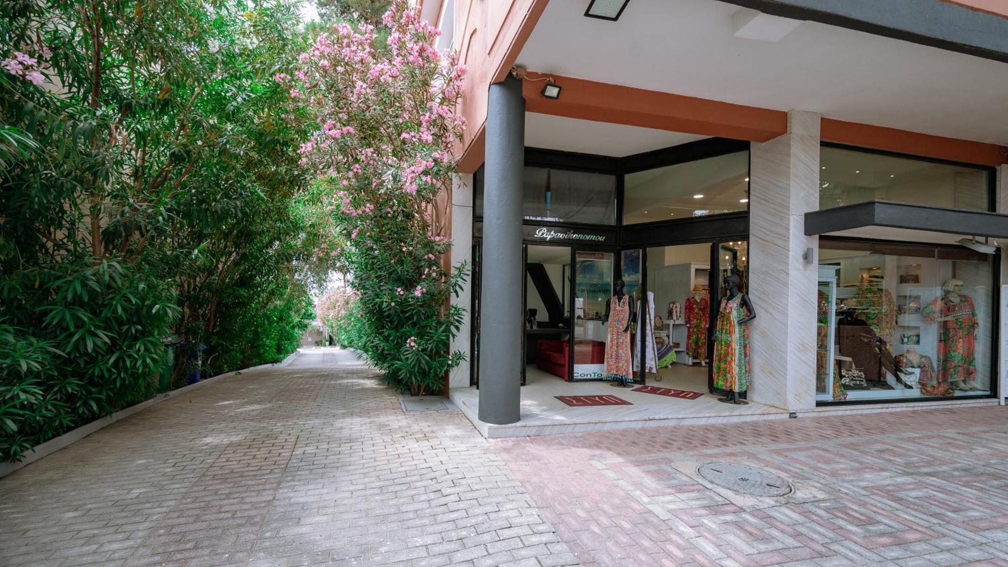 Apartament Ktima Papaoikonomou 2 Potos Zewnętrze zdjęcie